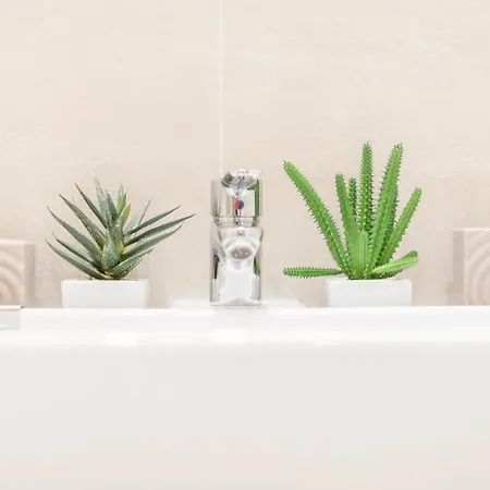 Downtown Heart 3 Bdr, 2 Bath, A/c *