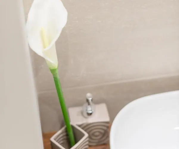 Downtown Heart Suite With 2 Baths Ac And Free Parking Lägenhet *